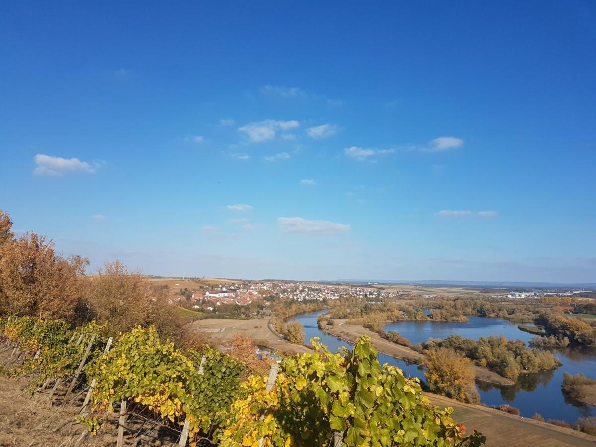 Aparthotel Alte Schmiede Деттельбах Екстер'єр фото
